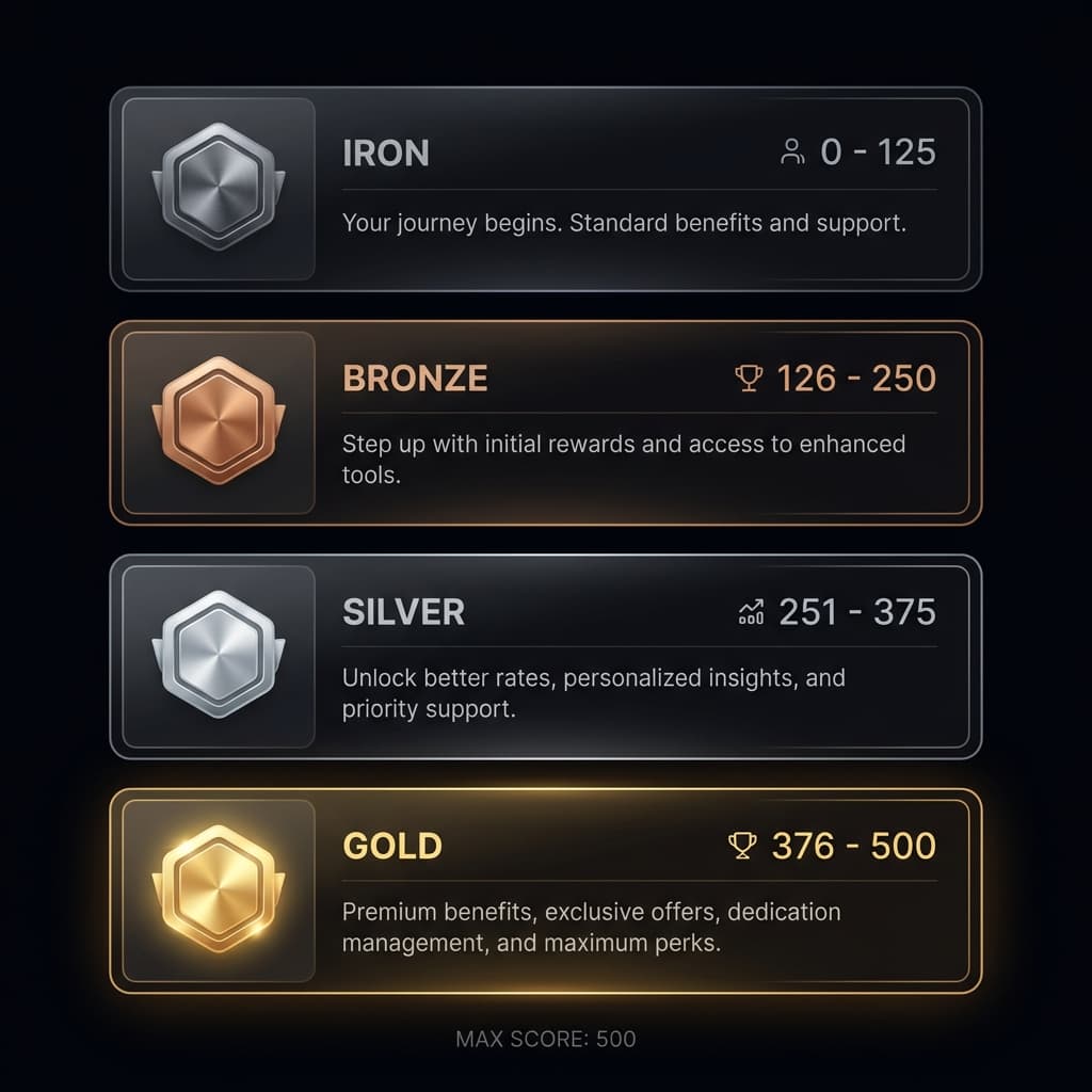Four-tier classification system showing Iron, Bronze, Silver, and Gold levels with metallic badges